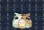 Nuzzling Bunnies Daisies Floral Wreath Stars - Everyday Use Home Decor Gift for Her Quilted Tote Bag - 7