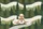 Personalized Three Sheep River Path Pine Tree Scene - Everyday Use Gift for Children Quilted Tote Bag - 7