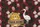 Jungle Leopard Cub Crane Palm Leaves Personalized Sign - Wildlife Lover Gift Quilted Tote Bag - 7