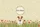 Jack Russell Terrier Dog Wildflower Field Floral Wreath - Dog Lover Gift Everyday Tote Quilted Tote Bag - 7