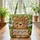 Brown Bear Name Sign Pine Forest Hills Stream - Wildlife Lover Home Decor Gift for Kids Quilted Tote Bag - 3