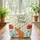 Red Fox Cub Poppies Floral Wreath Cursive - Wildlife Lover Gift Quilted Tote Bag - 3