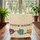 Three Folk Art Birds Musical Instruments Your Name Bunting - Home Decor Music Lover Gift Quilted Tote Bag - 3