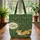 Adorable Fox Shamrocks Wildflowers Celtic Knot Personalized Name - Wildlife Lover Gift Quilted Tote Bag - 3