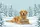 Personalized Golden Retriever Winter Forest Snow - Dog Owner Gift Quilted Tote Bag - 7