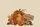 Pumpkin Autumn Leaves Sunflower Rustic Name Sign - Autumn Harvest Celebration Home Decor Quilted Tote Bag - 7