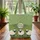 Personalized Three Sheep Wildflowers Hills Farmhouse Decor Gift Quilted Tote Bag - 3