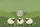 Personalized Three Sheep Wildflowers Hills Farmhouse Decor Gift Quilted Tote Bag - 7