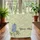 Lupine Flower Blue Blooms Green Leaves Botanical Vines - Nature Lover Travel Gift Quilted Tote Bag - 3