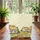 Charming Thatched Cottages Daisy Field Wooden Sign - Farmhouse Home Decor Gift for Housewarming Quilted Tote Bag - 3