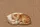 Sleeping Ginger Tabby Kitten Rustic Floral - Cat Lover Gift Quilted Tote Bag - 7