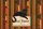 Black Cat Book Spines Open Book - Add Your Name - Book Lover Gift Quilted Tote Bag - 7
