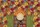 Sunburst Bookshelf Flowers Leaves - Everyday Home Decor Gift Quilted Tote Bag - 7