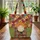 Sunburst Bookshelf Flowers Leaves - Everyday Home Decor Gift Quilted Tote Bag - 3