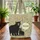 Black Bears Woodland Botanical Your Name - Wildlife Lover Everyday Carry Gift Quilted Tote Bag - 3