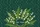 Lily of the Valley Botanical Stars Personalized Floral Name - Nature Lover Gift Quilted Tote Bag - 7