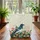 Long-tailed Bird Wildflower Name Sign - Everyday Carry Gift Quilted Tote Bag - 3