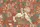 Tropical Jungle Leopard Flamingo Cockatoo Personalized - Wildlife Lover Gift Quilted Tote Bag - 7