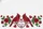 Cardinal Birds Name Heart Cartouche Roses - Wildlife Lover Gift for Her Quilted Tote Bag - 7