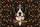 Bernese Mountain Dog Black Red Gold Floral Filigree Vines - Dog Lover Gift Quilted Tote Bag - 7