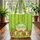 3 Curious Tigers Jungle Leaf Wreath Vertical Stripes - Wildlife Lover Gift Quilted Tote Bag - 3