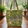 Zebra Holding Sign Leopard Toucan Tropical Jungle Safari Adventure Gift Quilted Tote Bag - 3