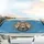 Four Cats Driving Wheel Road Trip - Auto Interior Decor Gift for Cat Lovers Car Sunshade - 5