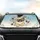 Fawn French Bulldog Pack Paw Prints Bone Shapes Star Bursts - Dog Lover Gift for Pet Owners Car Sunshade - 4
