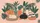 Six Domestic Cats Tropical Foliage Geometric Pineapple - Home Decor Gift for Cat Lovers Car Sunshade - 7