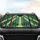 Mystical Forest Clearing Sunbeams Green Tree Foliage - Everyday Travel Gift Car Sunshade - 4