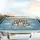 Smiling Boston Terriers Sunglasses Steering Wheel - Road Trip Dog Lover Gift Car Sunshade - 5