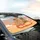 Cats with Sunglasses Red Bow Steering Wheel Drive - Everyday Car Travel Essential Car Sunshade - 6