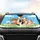 Whimsical Cow Herd Farmhouse Decor - Cow Lover Gift Car Sunshade - 4