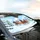 Galloping Horses Snow Forest Mountains - Wildlife Lover Gift Car Sunshade - 6