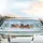 Galloping Horses Snow Forest Mountains - Wildlife Lover Gift Car Sunshade - 5
