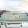 Majestic White Lion Golden Mane Scrollwork - Home Decor Gift for Wildlife Lovers Car Sunshade - 5