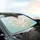Majestic White Lion Golden Mane Scrollwork - Home Decor Gift for Wildlife Lovers Car Sunshade - 6