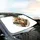 Reindeer Reflective Sunglasses Gold Chain Winter Snow - Christmas Gift Car Sunshade - 6