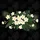 Plumeria Frangipani Tropical Flowers - Home Decor Gift for Tropical Lover Car Sunshade - 7