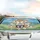 Shiba Inu Dogs Steering Wheel Road Trip - Dog Owner Gift for Car Owners Car Sunshade - 5