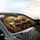 Sloth Family Sun Dappled Forest Landscape - Wildlife Lover Gift Car Sunshade - 6
