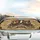Grizzly Bears Cowboy Sunglasses Gold Chain - Everyday Car Accessory Car Sunshade - 5