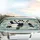 Waving Panda Driving Bamboo City Silhouette - Wildlife Lover Everyday Auto Decor Gift Car Sunshade - 5