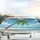 Tropical Palm Tree Ocean Waves Beach - Home Decor Gift Car Sunshade - 5