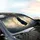 Black Cat Crescent Moon Botanical Dragonflies - Wildlife Cat Lover Gift Car Sunshade - 6