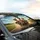 Joyful Tabby Cats Sunglasses Driving Fun - Road Trip Essentials Cat Lover Gift Car Sunshade - 6