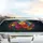 Gerbera Daisies Multi-Petal Flowers Lush Foliage - Everyday Auto Decor Car Sunshade - 5