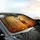 Majestic Buck Multi-Tined Antlers Autumn Leaves Forest Floor - Wildlife Lover Gift Car Sunshade - 6