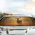 Majestic Buck Multi-Tined Antlers Autumn Leaves Forest Floor - Wildlife Lover Gift Car Sunshade - 5