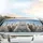Six Domestic Cats High-Rise City Skyline Sunlight - Pet Lover Car Travel Gift Car Sunshade - 5